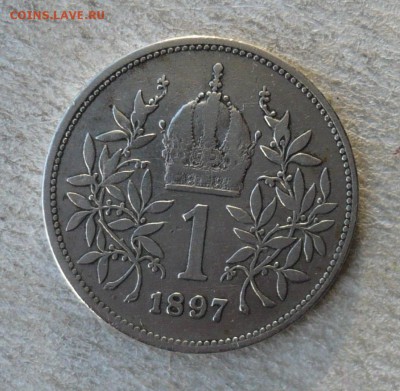 Австрия 1 крона (корона) 1897 год. 10.02.2019 в 22:10 - P2540142.JPG