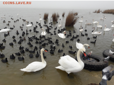 Отдых в Крыму. - 20190206_203639