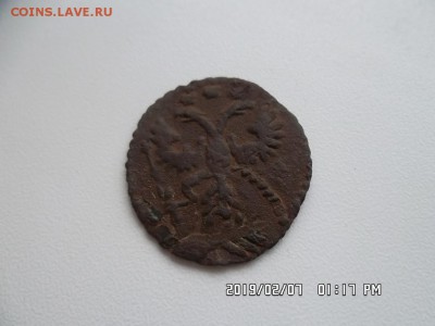 полушка 1731 год.  двойной удар. сегодня в 22 00 - SAM_5405.JPG