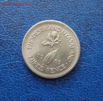 Родезия и Ньясаленд 3 пенса 1962 до 10.02. 19 - DSC00601.JPG