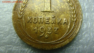 Вопросы по разновидностям от Сахарка. - DSC07994.JPG