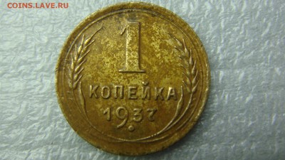 Вопросы по разновидностям от Сахарка. - DSC07993.JPG