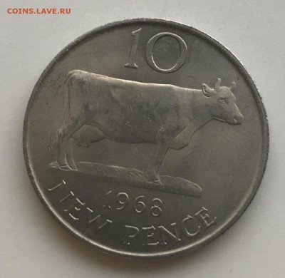 10 пенсов Гернси 1968 Корова UNC с 1 рубля - ED103BCF-C1C1-4654-BF09-0693EAE17ABC