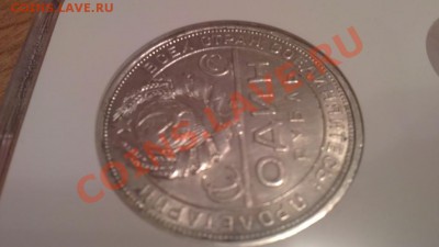 Хочу купить. 1 рубль 1924 год - 1652867366_3