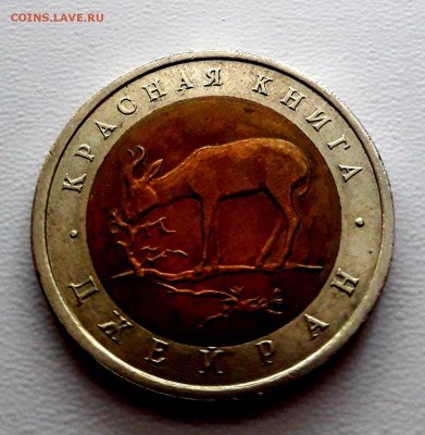 50 рублей Джейран №2 Короткий 08.02. 22.00 - 20190208_174917