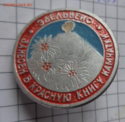  1 шт до ухода в архив - DSC04841.JPG