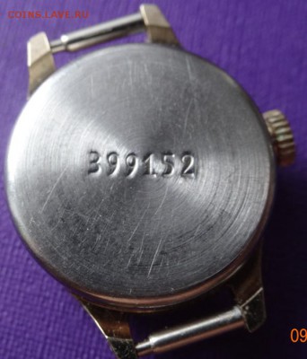 у -з шт до 11.02.19г - 567