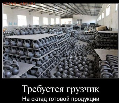 юмор - b-8504