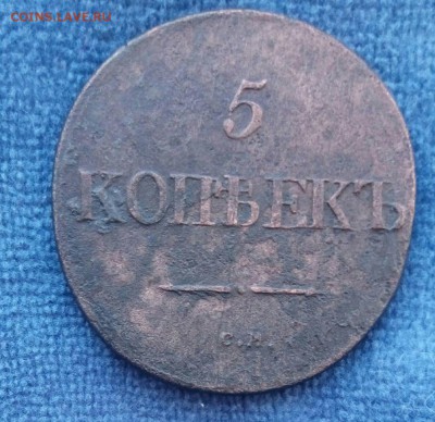 5 коп 1832 см, до 13.02. - 84-2AchqMTM