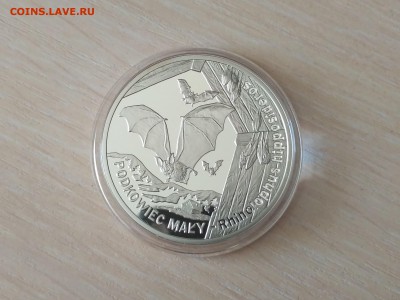 ПОЛЬША,20 злотых 2010г(Летучая мышь)до 14.02.2019г - IMG_20181013_112536