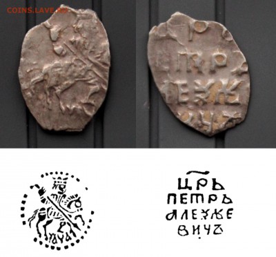 Идентификация чешуи. Помощь в определении - 1791.JPG
