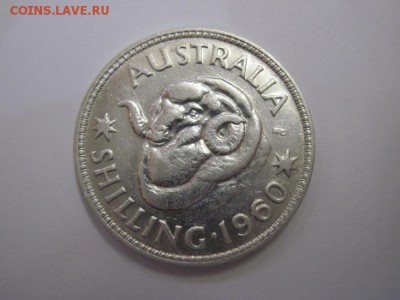 1 шиллинг Австралия 1960 до 13.02.19 - IMG_3131.JPG
