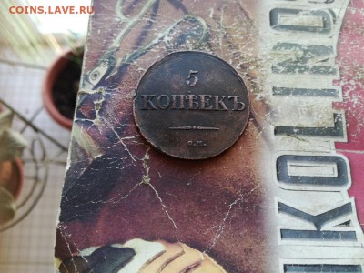 5 копеек 1831 СМ до 14.02.2019 - 1831 (32) - копия