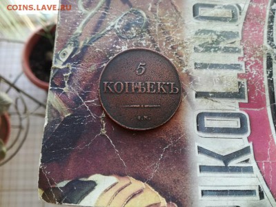 5 копеек 1831 СМ до 14.02.2019 - 1831 (33) - копия