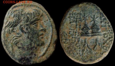 Антика и Каракалла в бронзе - 305517-530-Antiochus X