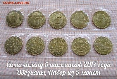 Сомалиленд 5 шиллингов 2017 Обезьяны(5шт). До 14.02.в 22:00 - ъ