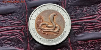 Красная книга 1992. В патине. Кобра. До 18.02 - IMG_20190212_110803