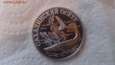 Красная книга 1 Рубль 2001 Сахалинский Осётр до 18.02 22.10 - DSC_4414.JPG