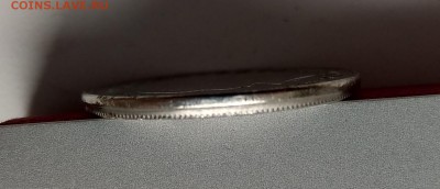 Каймановы чекан частично вне гуртильного кольца до 22 15.02 - IMAG0022~2
