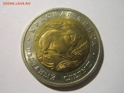 КК 1994 СЛЕПЫШ 50 руб. до 17.02.19 в 22:30 - IMG_6621.JPG