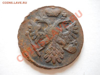 Хорошая Денга 1738 Года. Окончание в 22.00, 13.06.2011. - 33.JPG