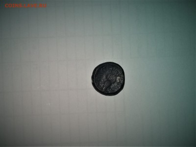 3-я. Арфа на голове коровы - А2