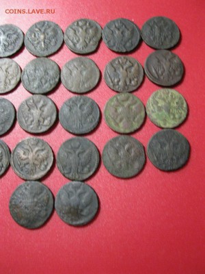 лот денги 1731-1753 г. - IMG_1324.JPG