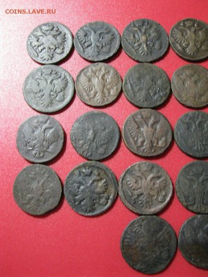 лот денги 1731-1753 г. - IMG_1323.JPG