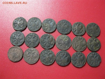 лот полушек 18 шт. 1731-1735 г. - IMG_1328.JPG
