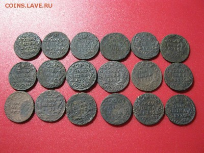 лот полушек 18 шт. 1731-1735 г. - IMG_1325.JPG