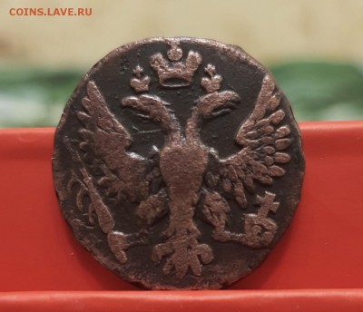 Деньга 1748г. скипетр с шипами, на обсуждение - 1