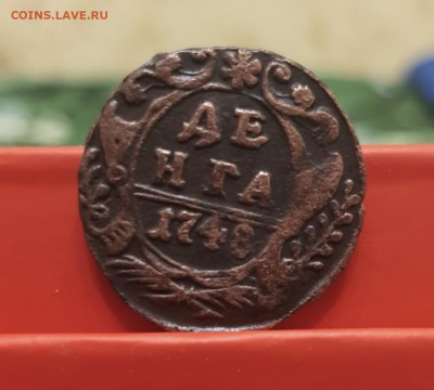 Деньга 1748г. скипетр с шипами, на обсуждение - 2