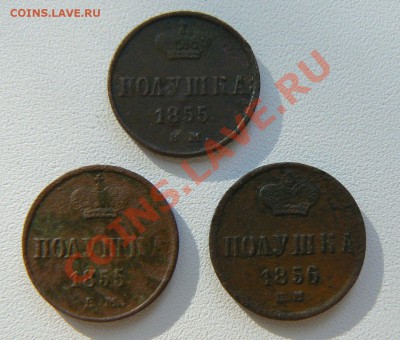 полушки: 1855 - 2 шт,56, ЕМ, до 10.06.2011 21.00 МСК - Полушки 3