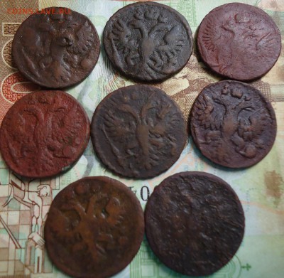 полушки 8шт. 1730-1736гг. - DSC03292.JPG
