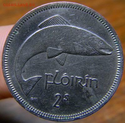 флорин ирландия 1966 - DSCN0675.JPG
