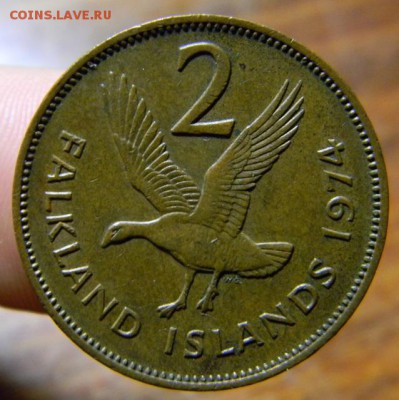 2 пенса фолкленды 1974 - DSCN0690.JPG