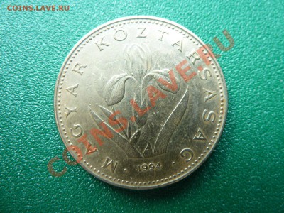 ВЕНГРИЯ 20 форинтов 1994г.ЦВЕТОК до 14.06.11 в 22-00 - MEMO0034.JPG