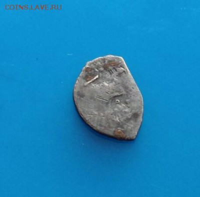 Чешуя 107 шт. до 14.02.2019 22:22 - IMG_20190206_143932_221