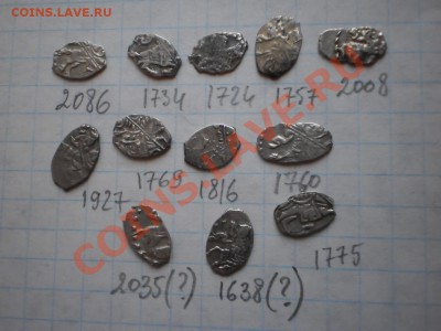 Чешуя Петра,12 шт, до 14.06 в 21:00 Москвы - чешуя.JPG