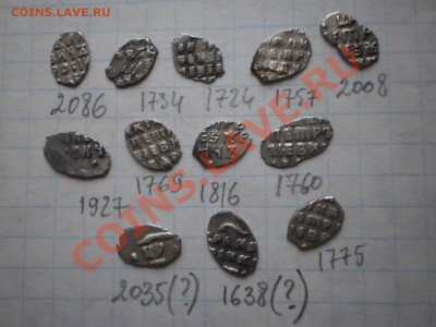 Чешуя Петра,12 шт, до 14.06 в 21:00 Москвы - чешуя2.JPG
