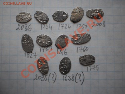 Чешуя Петра,12 шт, до 14.06 в 21:00 Москвы - чешуя3.JPG