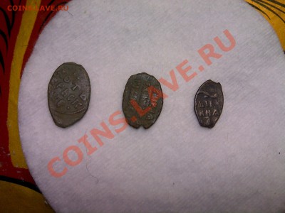 Чешуки на определение - PIC110608021