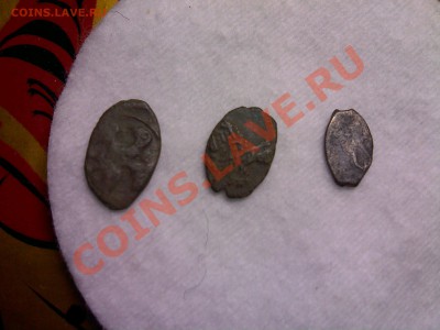 Чешуки на определение - PIC110608022