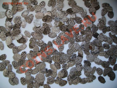 1000 чешуек на продажу. - PICT0318.JPG