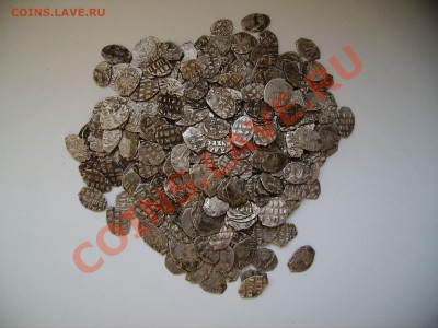 1000 чешуек на продажу. - PICT0320.JPG
