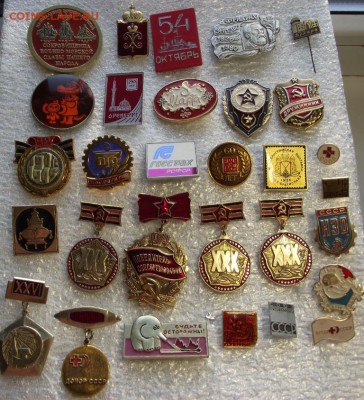 шт - DSCF3788.JPG