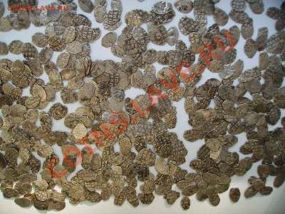 1000 чешуек на продажу. - PICT0322.JPG