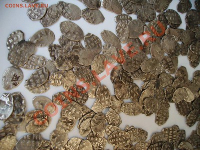 1000 чешуек на продажу. - PICT0323.JPG