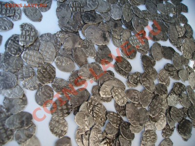 1000 чешуек на продажу. - PICT0324.JPG
