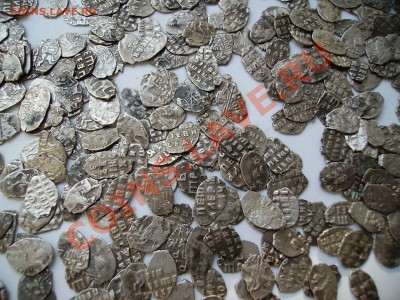 1000 чешуек на продажу. - PICT0325.JPG